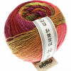 Saiun Noro Wolle